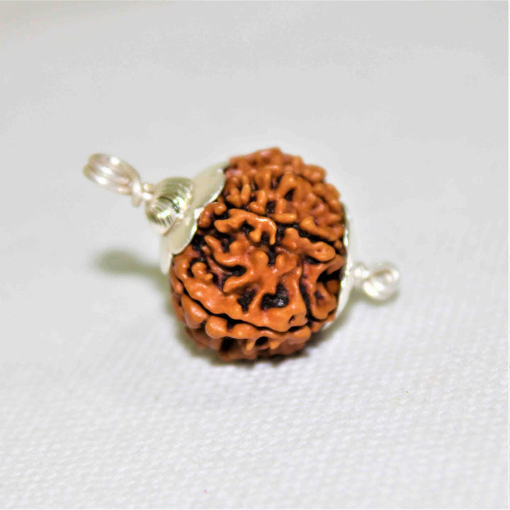 10 Mukhi Rudraksh Pendant