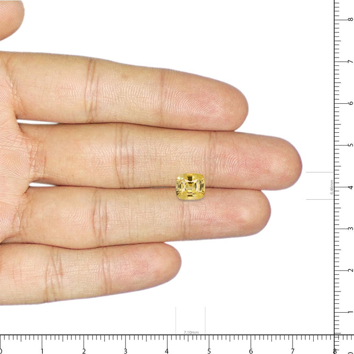 Yellow Sapphire - 3.24 Carat