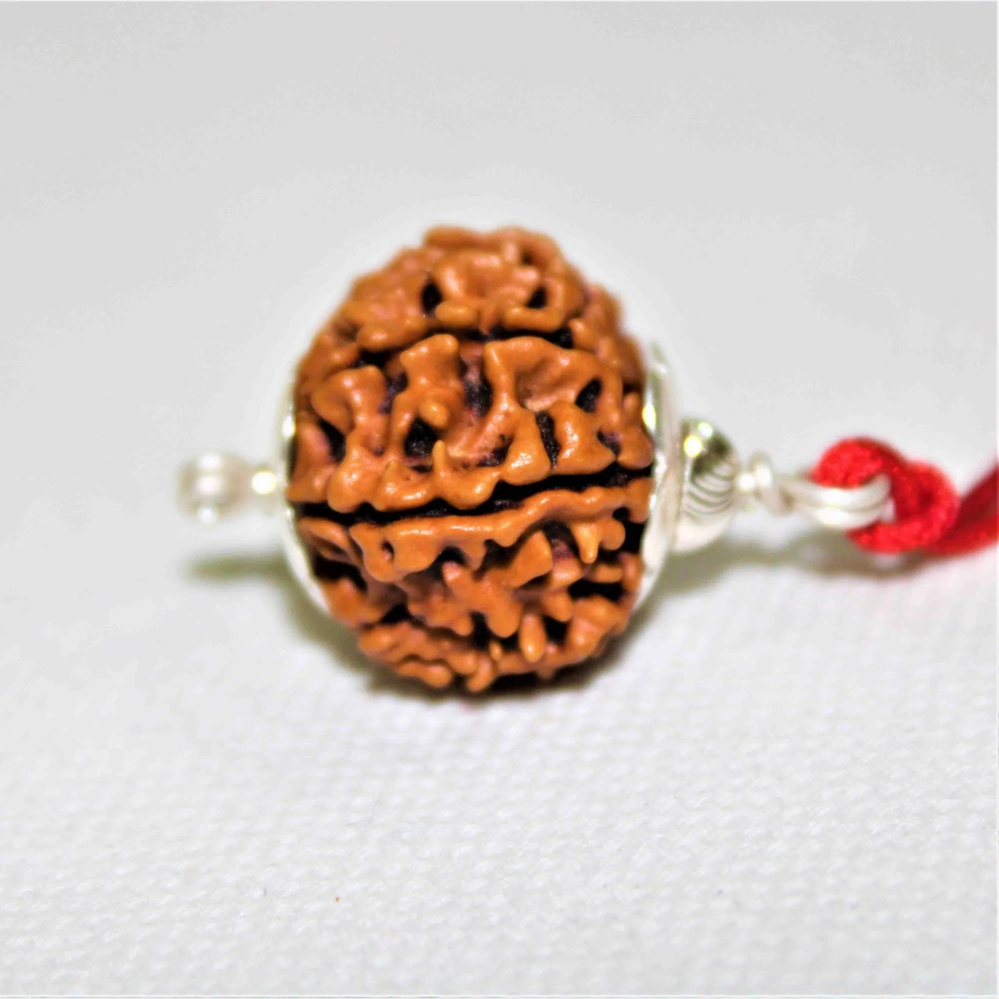 10 Mukhi Rudraksh Pendant