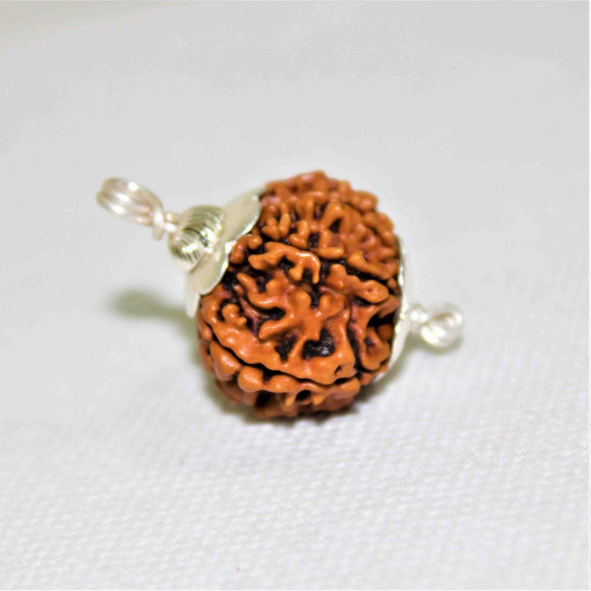 10 Mukhi Rudraksh Pendant