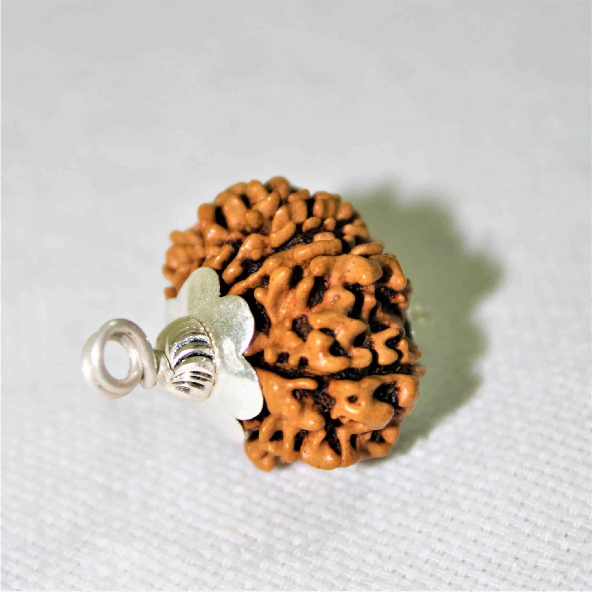 11 mukhi Rudraksh Pendant