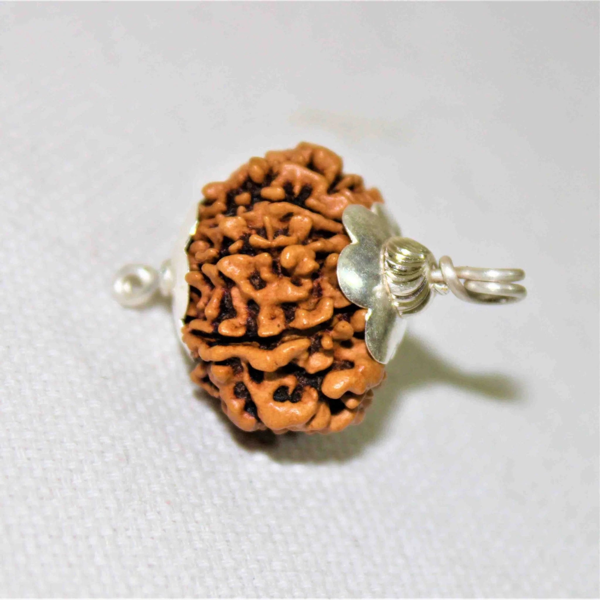 11 mukhi Rudraksh Pendant