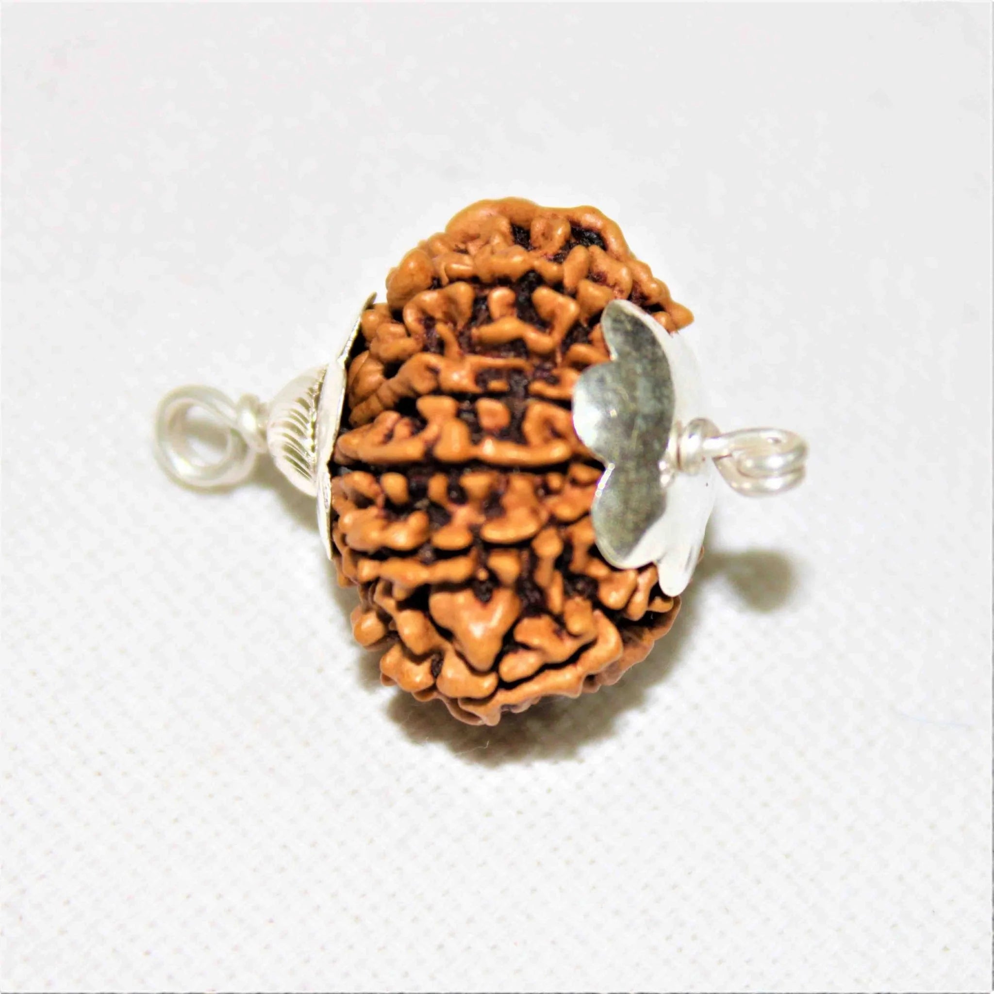 12 mukhi Rudraksh Pendant