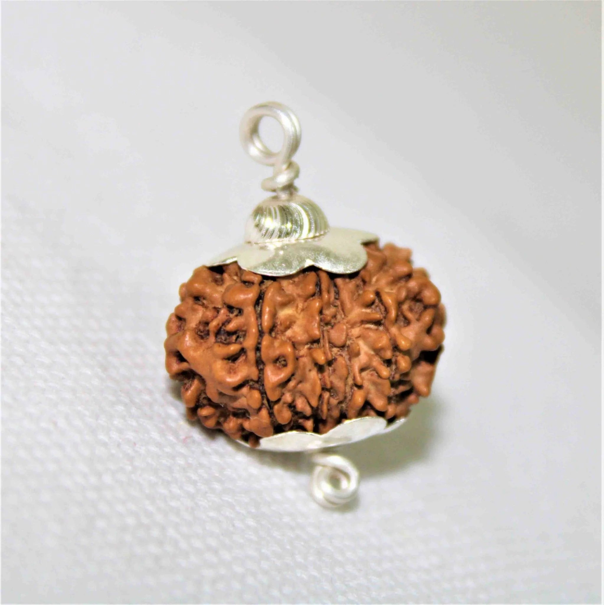 12 mukhi Rudraksh Pendant