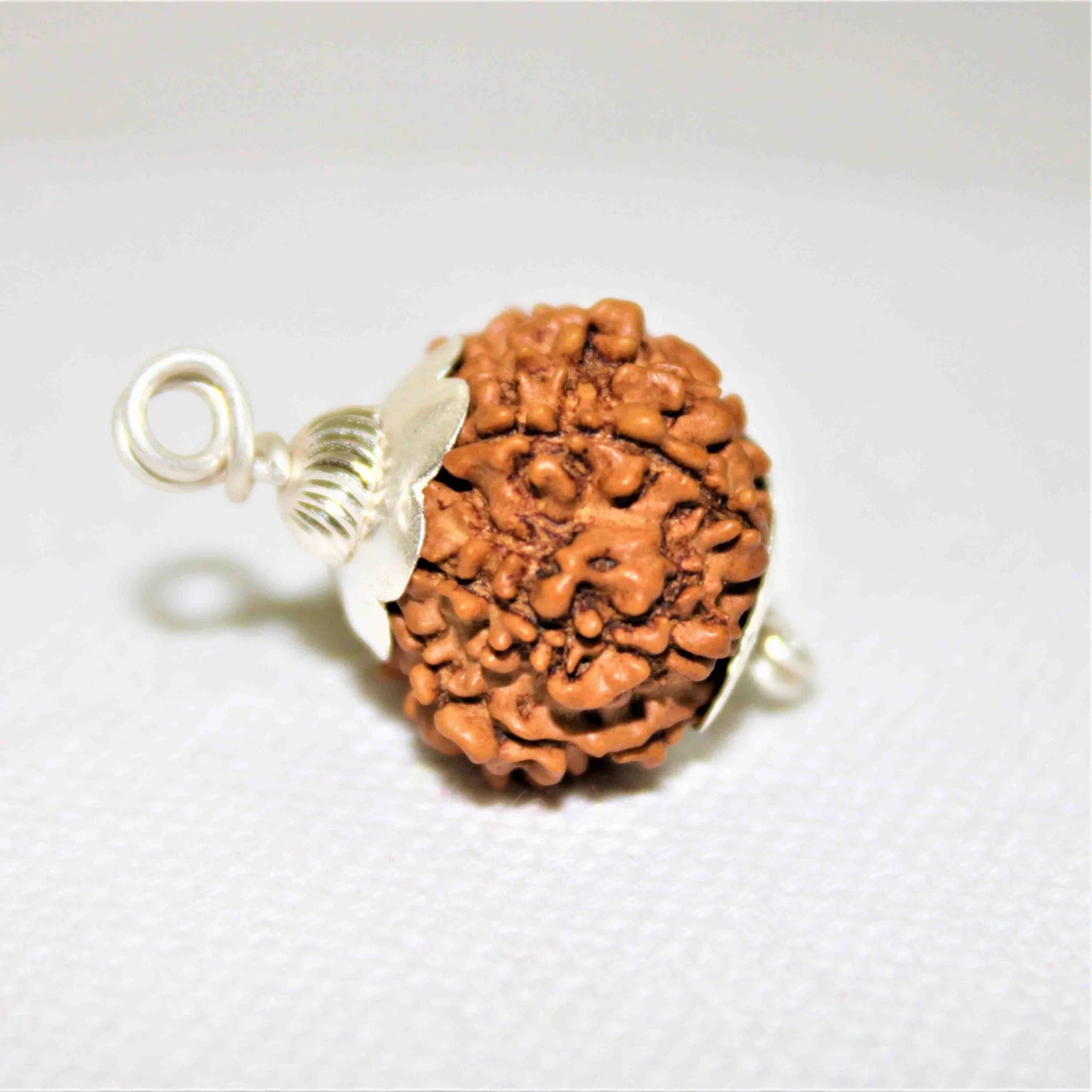 12 mukhi Rudraksh Pendant
