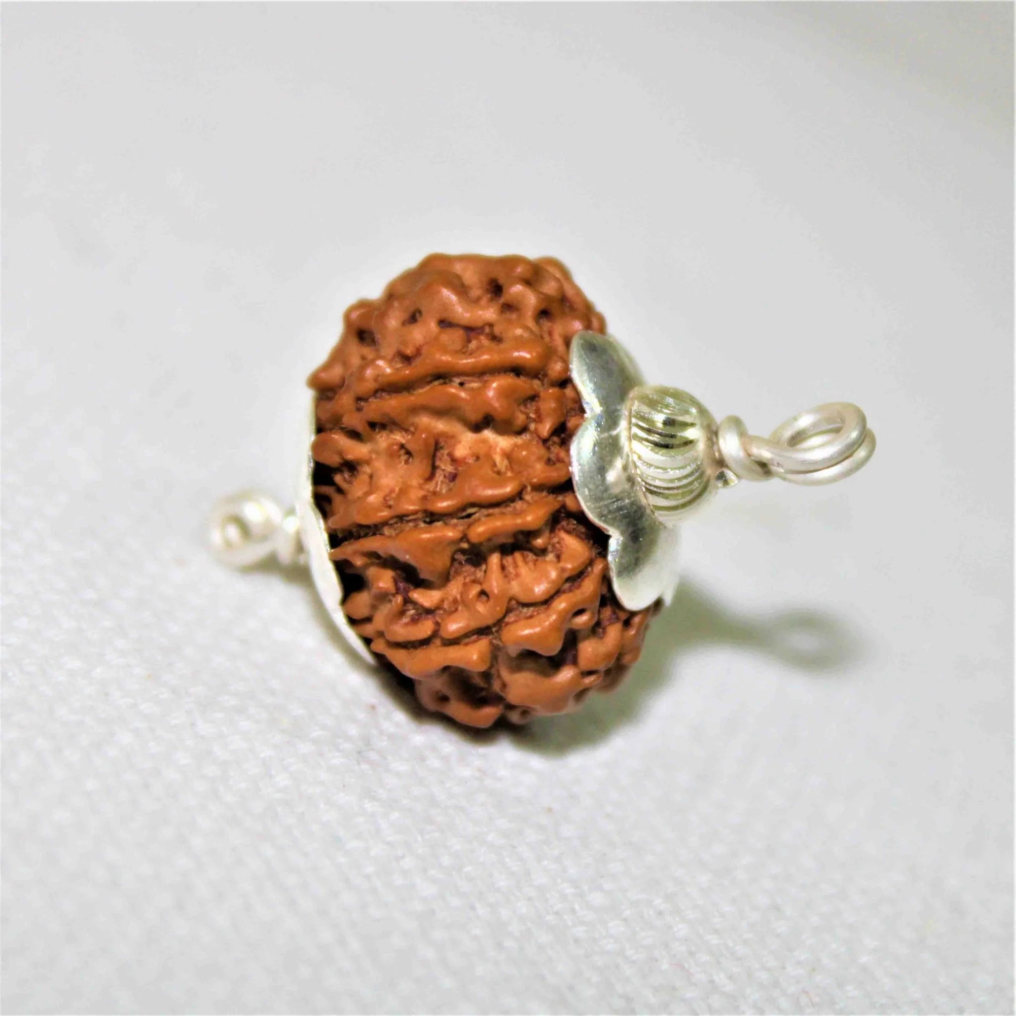 7 Mukhi  Rudraksh Pendant