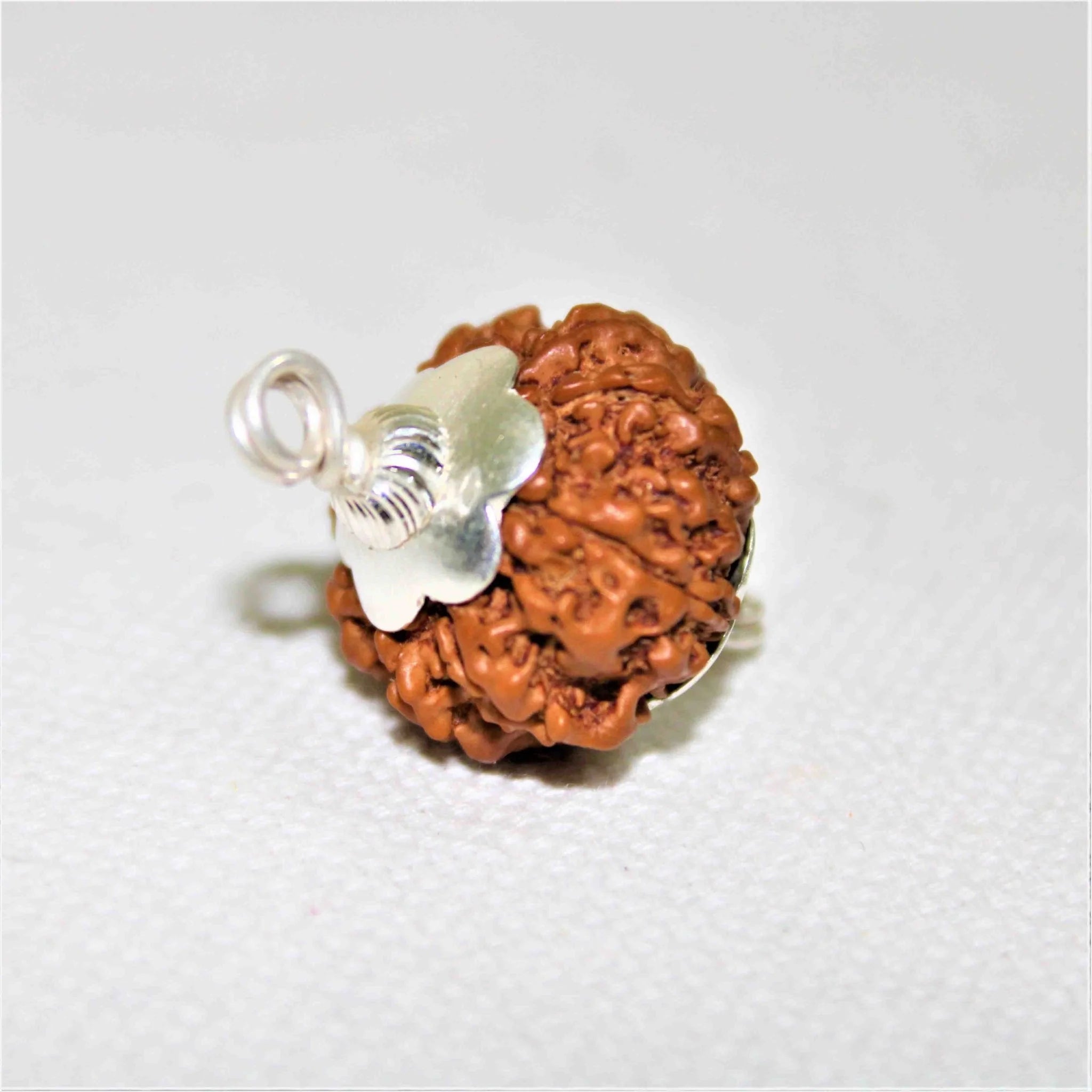 7 Mukhi  Rudraksh Pendant