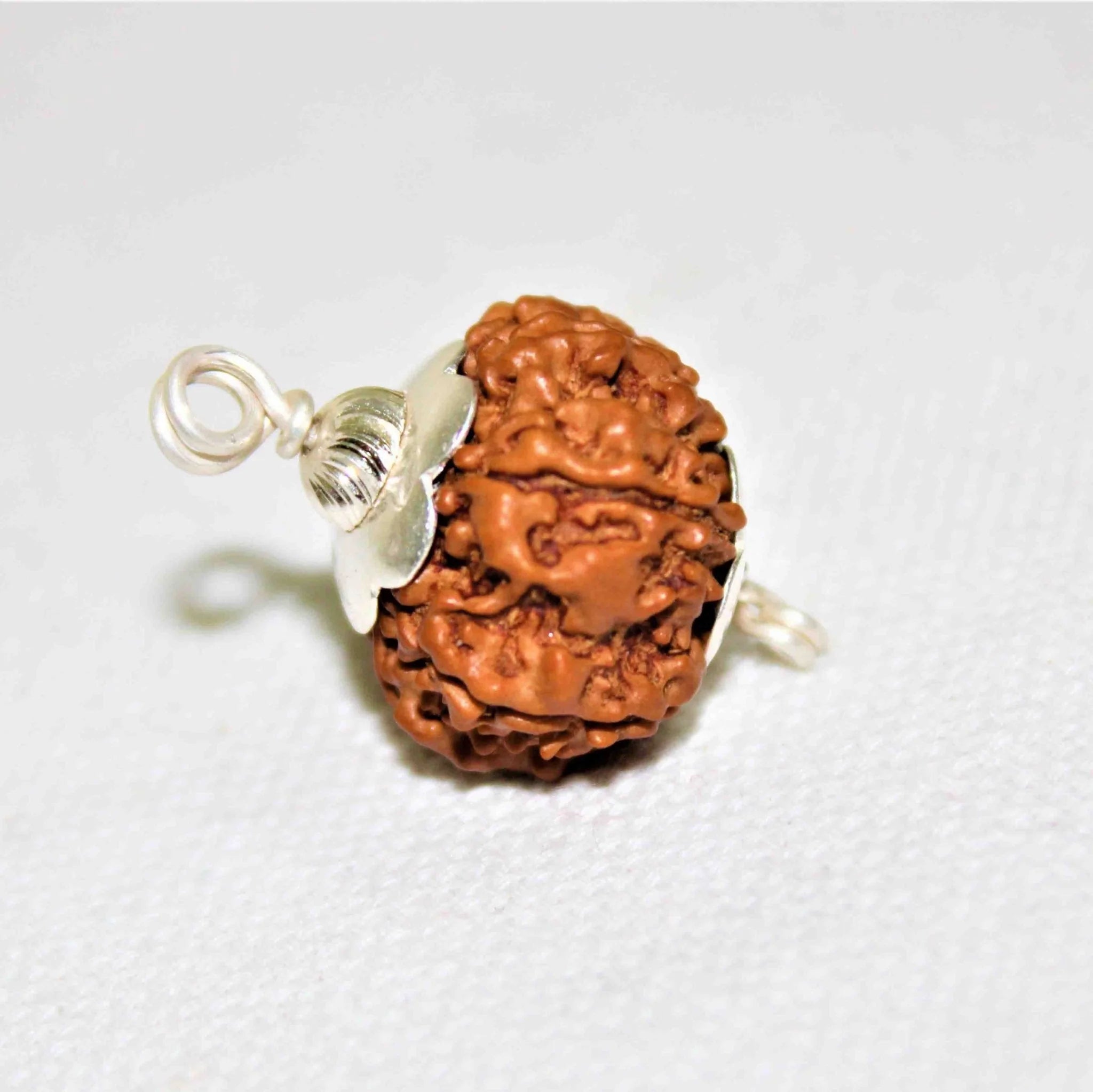 7 Mukhi  Rudraksh Pendant