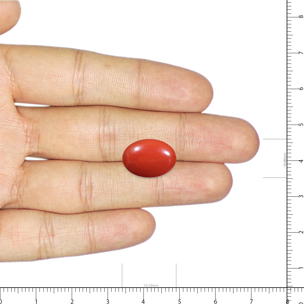 Coral 5.5 Carat