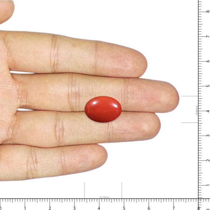 Coral 5.5 Carat
