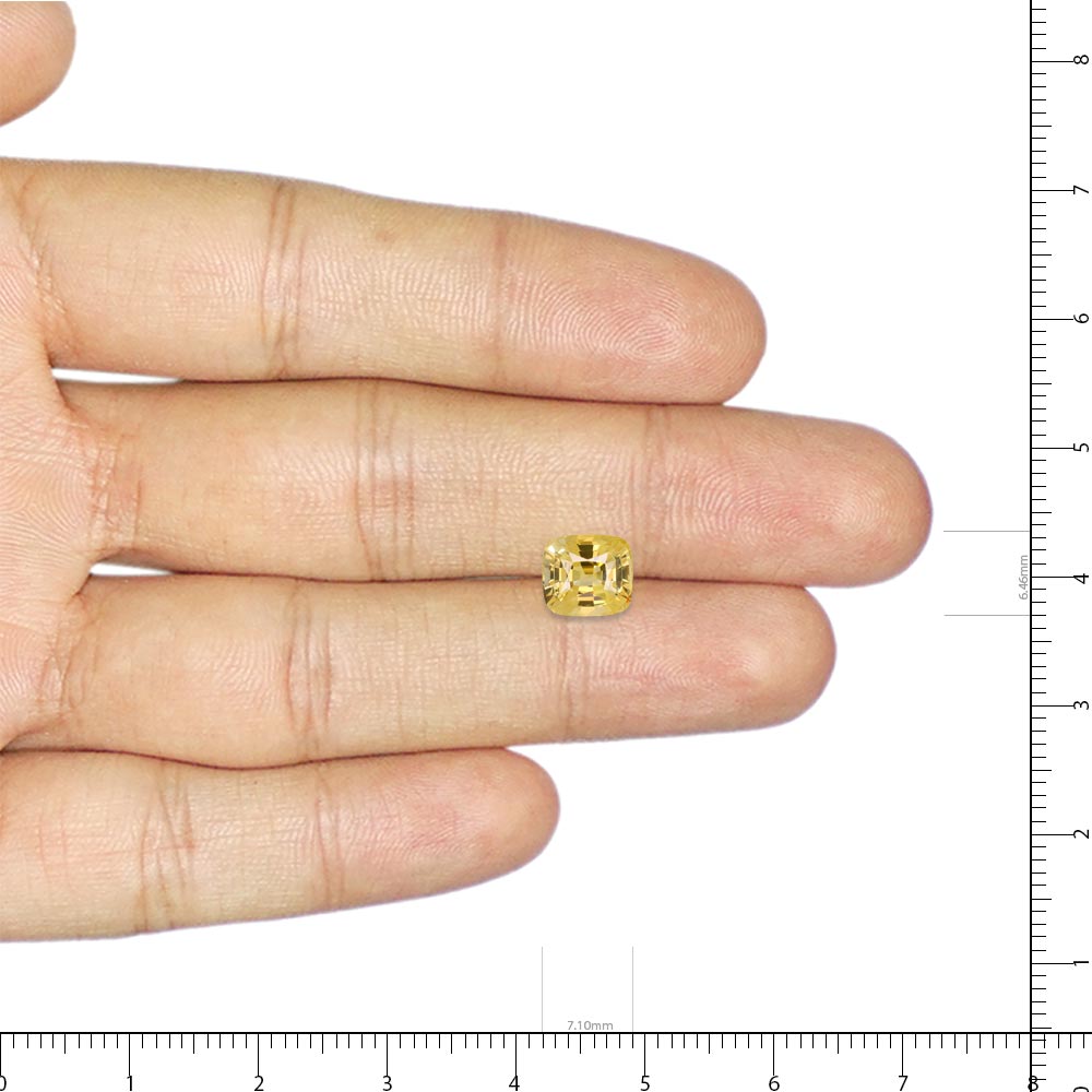 Yellow Sapphire - 3.24 Carat